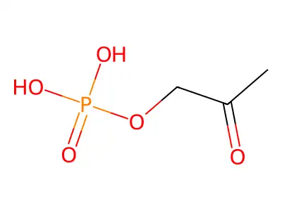 Hydroxyacetone phosphate structure