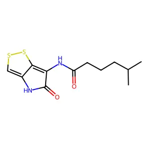 5-Methyl-n-(5-oxo-4h-dithiolo(3,4-d)pyrrol-6-yl)hexanamide structure