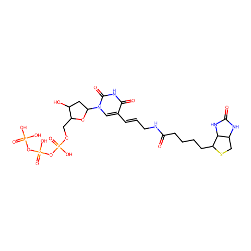 Biodutp structure