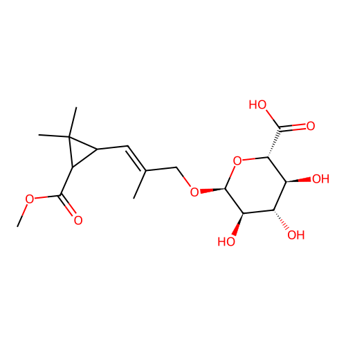beta-D-Glucopyranosiduronic acid, 3-(3-(methoxycarbonyl)-2,2-dimethylcyclopropyl)-2-methyl-2-propenyl, (1S-(1alpha(E),3beta))- structure