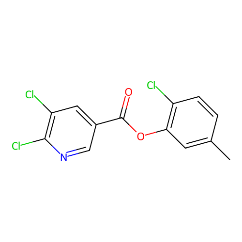 (2-Chloro-5-methylphenyl) 5,6-dichloropyridine-3-carboxylate structure