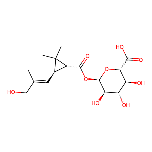 (2S,3S,4S,5R,6R)-3,4,5-Trihydroxy-6-((1R,3R)-3-((E)-3-hydroxy-2-methylprop-1-enyl)-2,2-dimethylcyclopropanecarbonyl)oxyoxane-2-carboxylic acid structure