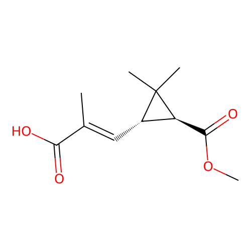 (E)-3-((1S,3S)-3-Methoxycarbonyl-2,2-dimethylcyclopropyl)-2-methylprop-2-enoic acid structure