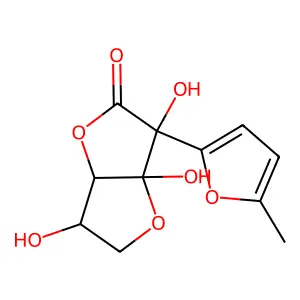 Nafocare B1 structure