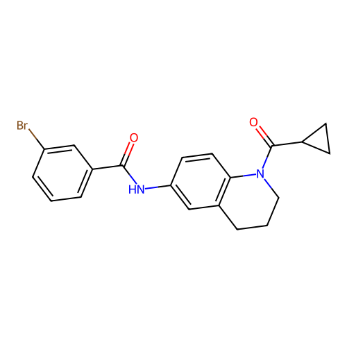 3-bromo-N-(1-cyclopropanecarbonyl-1,2,3,4-tetrahydroquinolin-6-yl)benzamide structure