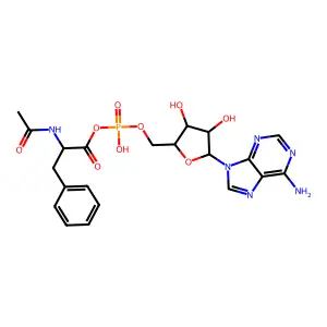 N-acetylphenylalanyl-adenosine monophosphate-anhydride structure