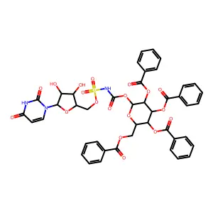 P 536 structure