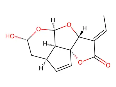 Allamcin structure