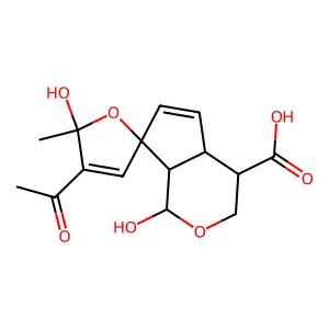 beta-Allamcidin structure