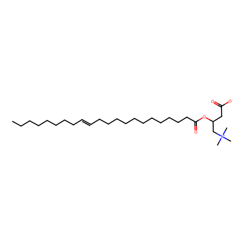 Brassidylcarnitine, (+/-)- structure