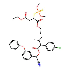 Mieshabi structure