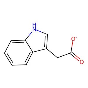 吲哚-3-乙酸阴离子 structure