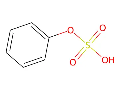 Phenol sulfate structure