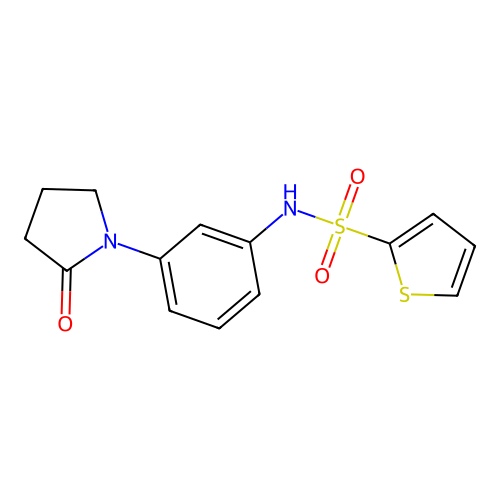 N-[3-(2-oxopyrrolidin-1-yl)phenyl]thiophene-2-sulfonamide structure