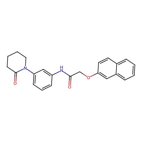 2-(naphthalen-2-yloxy)-N-[3-(2-oxopiperidin-1-yl)phenyl]acetamide structure