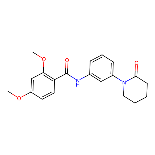 2,4-dimethoxy-N-[3-(2-oxopiperidin-1-yl)phenyl]benzamide structure