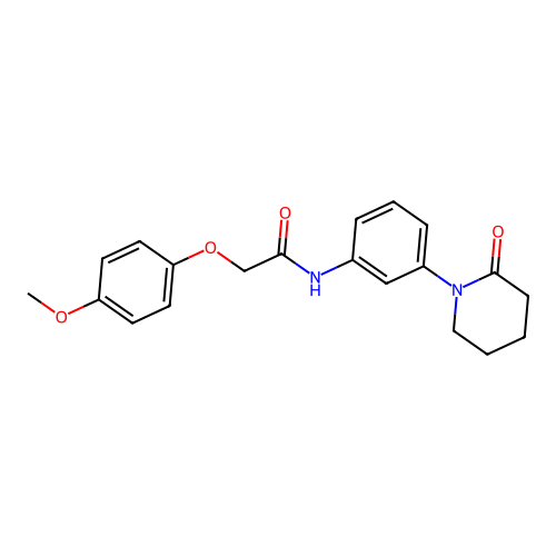 2-(4-methoxyphenoxy)-N-[3-(2-oxopiperidin-1-yl)phenyl]acetamide structure