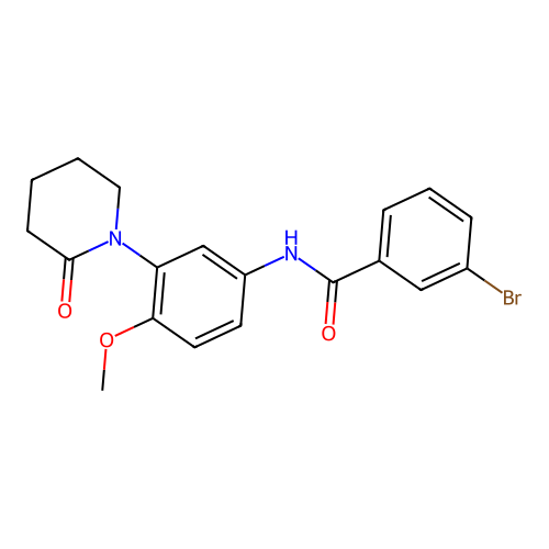 3-bromo-N-[4-methoxy-3-(2-oxopiperidin-1-yl)phenyl]benzamide structure
