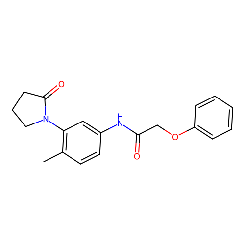 N-[4-methyl-3-(2-oxopyrrolidin-1-yl)phenyl]-2-phenoxyacetamide structure
