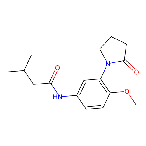 N-[4-methoxy-3-(2-oxopyrrolidin-1-yl)phenyl]-3-methylbutanamide structure