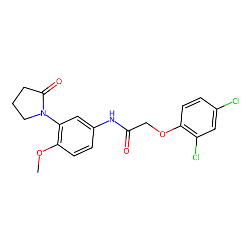 2-(2,4-dichlorophenoxy)-N-[4-methoxy-3-(2-oxopyrrolidin-1-yl)phenyl]acetamide structure