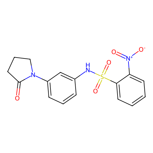 2-nitro-N-(3-(2-oxopyrrolidin-1-yl)phenyl)benzenesulfonamide structure