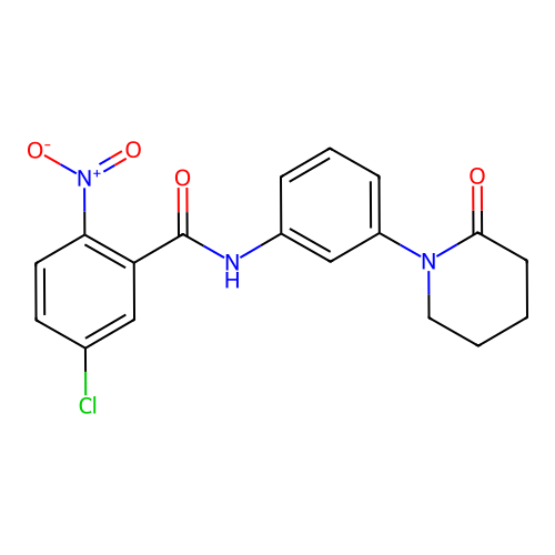 5-chloro-2-nitro-N-[3-(2-oxopiperidin-1-yl)phenyl]benzamide structure