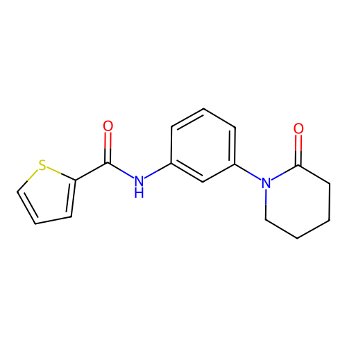 N-[3-(2-oxopiperidin-1-yl)phenyl]thiophene-2-carboxamide structure