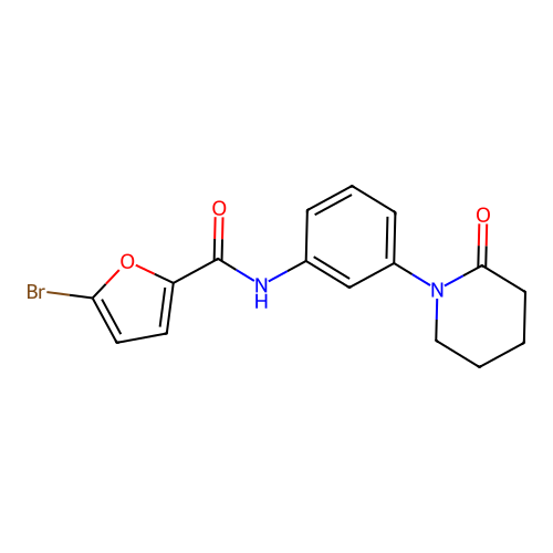 5-bromo-N-[3-(2-oxopiperidin-1-yl)phenyl]furan-2-carboxamide structure