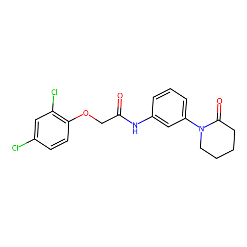2-(2,4-dichlorophenoxy)-N-[3-(2-oxopiperidin-1-yl)phenyl]acetamide structure