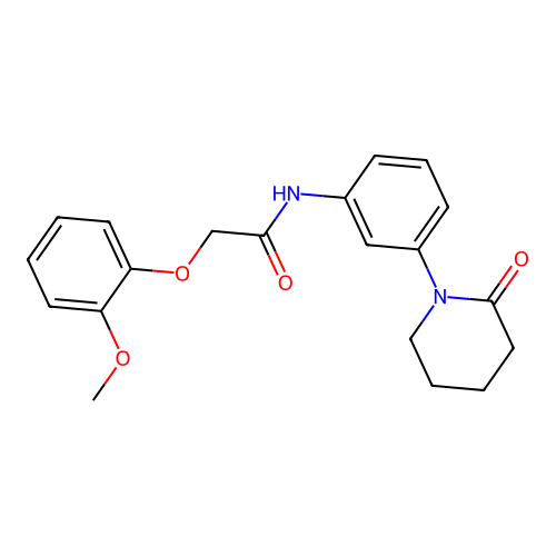 2-(2-methoxyphenoxy)-N-[3-(2-oxopiperidin-1-yl)phenyl]acetamide structure