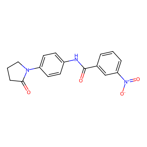 3-nitro-N-[4-(2-oxopyrrolidin-1-yl)phenyl]benzamide structure
