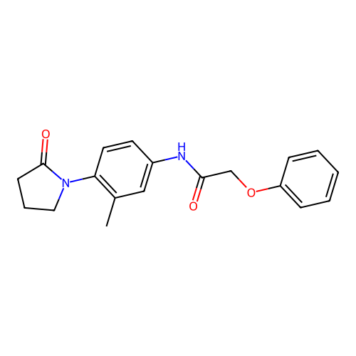 N-[3-methyl-4-(2-oxopyrrolidin-1-yl)phenyl]-2-phenoxyacetamide structure