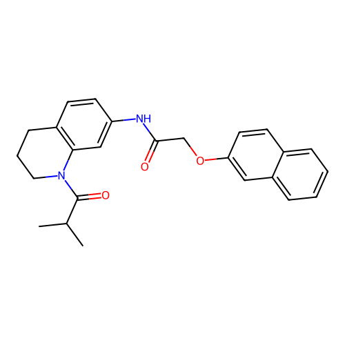 N-(1-isobutyryl-1,2,3,4-tetrahydroquinolin-7-yl)-2-(naphthalen-2-yloxy)acetamide structure