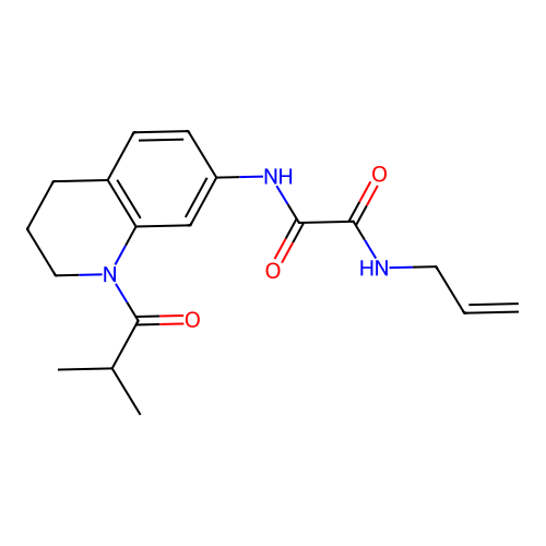 N1-allyl-N2-(1-isobutyryl-1,2,3,4-tetrahydroquinolin-7-yl)oxalamide structure