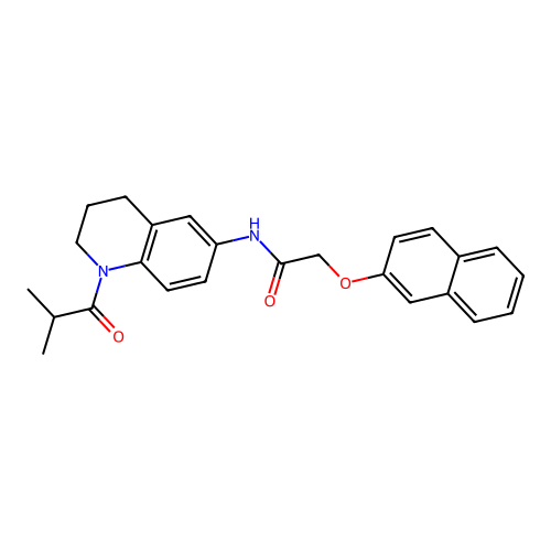 N-(1-isobutyryl-1,2,3,4-tetrahydroquinolin-6-yl)-2-(naphthalen-2-yloxy)acetamide structure