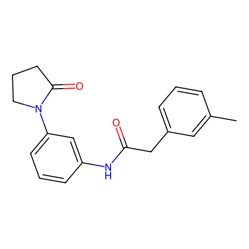 2-(3-methylphenyl)-N-[3-(2-oxopyrrolidin-1-yl)phenyl]acetamide structure