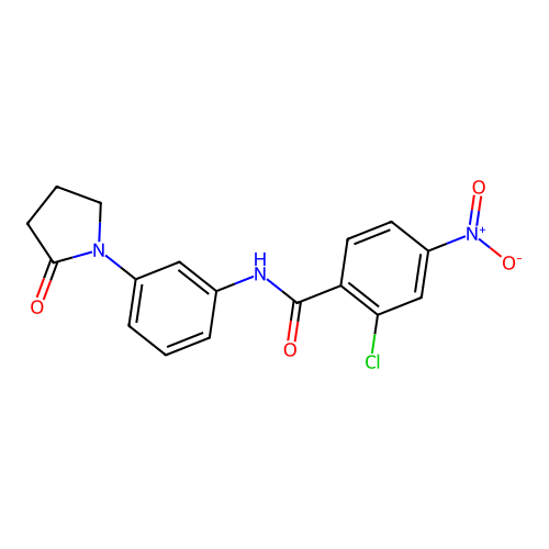 2-chloro-4-nitro-N-[3-(2-oxopyrrolidin-1-yl)phenyl]benzamide structure