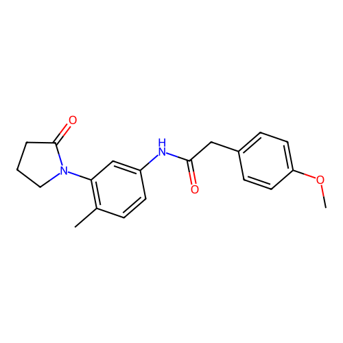 2-(4-methoxyphenyl)-N-[4-methyl-3-(2-oxopyrrolidin-1-yl)phenyl]acetamide structure