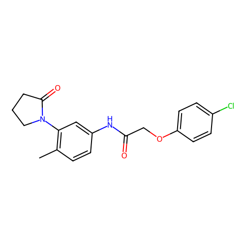 2-(4-chlorophenoxy)-N-[4-methyl-3-(2-oxopyrrolidin-1-yl)phenyl]acetamide structure