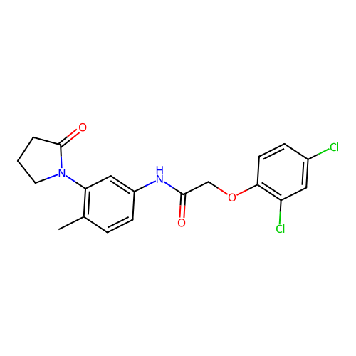 2-(2,4-dichlorophenoxy)-N-[4-methyl-3-(2-oxopyrrolidin-1-yl)phenyl]acetamide structure