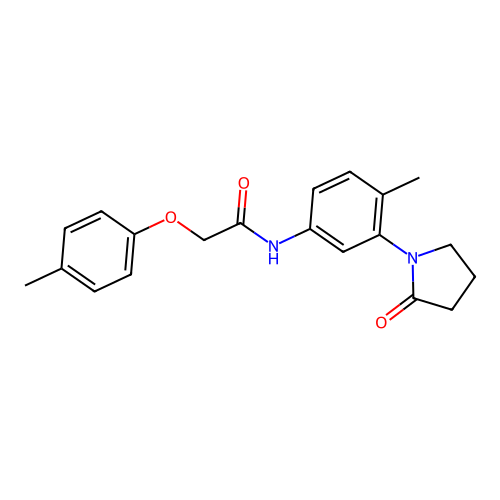 N-[4-methyl-3-(2-oxopyrrolidin-1-yl)phenyl]-2-(4-methylphenoxy)acetamide structure