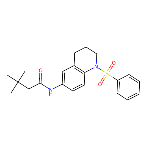 N-[1-(benzenesulfonyl)-3,4-dihydro-2H-quinolin-6-yl]-3,3-dimethylbutanamide structure