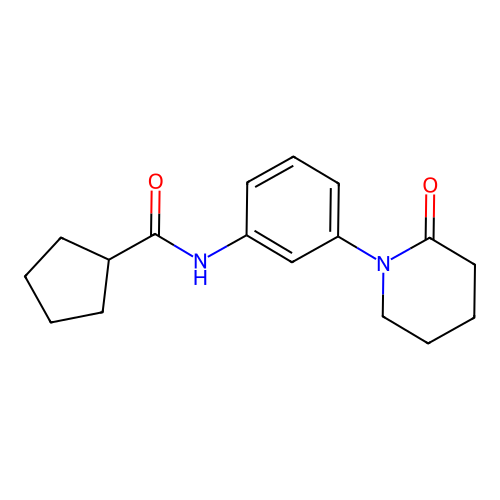 N-[3-(2-oxopiperidin-1-yl)phenyl]cyclopentanecarboxamide structure
