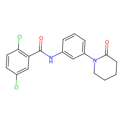2,5-dichloro-N-[3-(2-oxopiperidin-1-yl)phenyl]benzamide structure