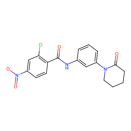 2-chloro-4-nitro-N-[3-(2-oxopiperidin-1-yl)phenyl]benzamide structure