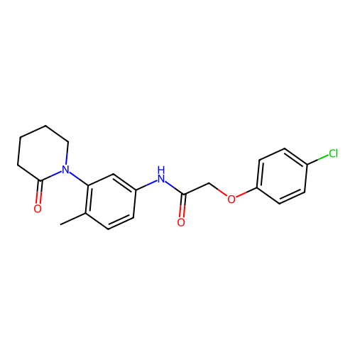 2-(4-chlorophenoxy)-N-[4-methyl-3-(2-oxopiperidin-1-yl)phenyl]acetamide structure