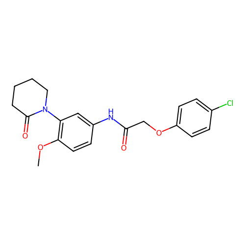 2-(4-chlorophenoxy)-N-[4-methoxy-3-(2-oxopiperidin-1-yl)phenyl]acetamide structure