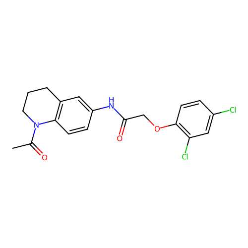N-(1-acetyl-1,2,3,4-tetrahydroquinolin-6-yl)-2-(2,4-dichlorophenoxy)acetamide structure