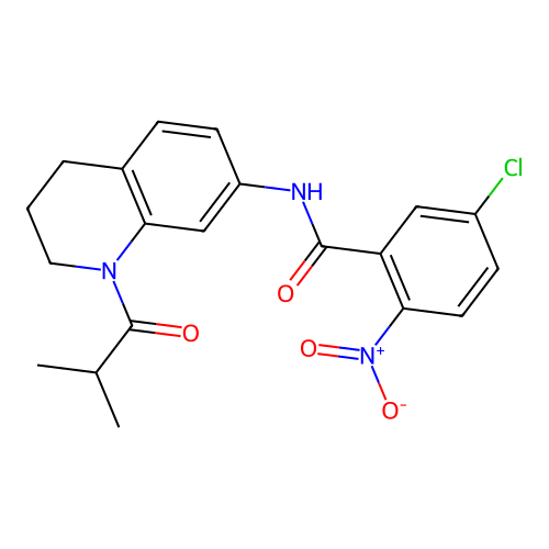 5-chloro-N-(1-isobutyryl-1,2,3,4-tetrahydroquinolin-7-yl)-2-nitrobenzamide structure